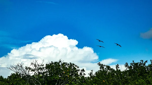 Most Nature Sky White Island — Stock Photo, Image