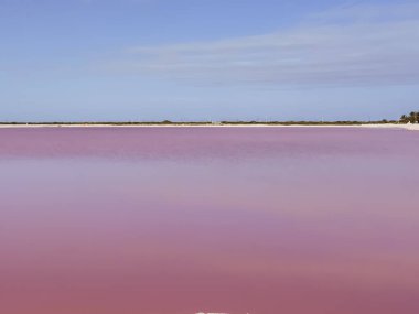 Pink lakes, cool background from Mexico. Background for postcards or photo Wallpapers