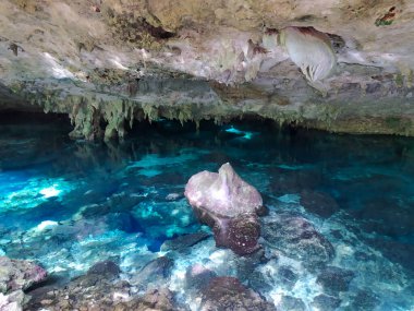Amazing creatures of nature are shocking in earnest. Cenotes are the best reflection, and the water is very clear