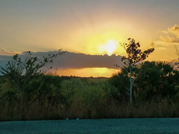 Magnificent Nature Flowers Grass Trees Mountains Sunsets Sunrises Always Pleasing — Stockfoto