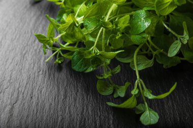 Taze yeşillik otlar siyah taş plaka Diyet