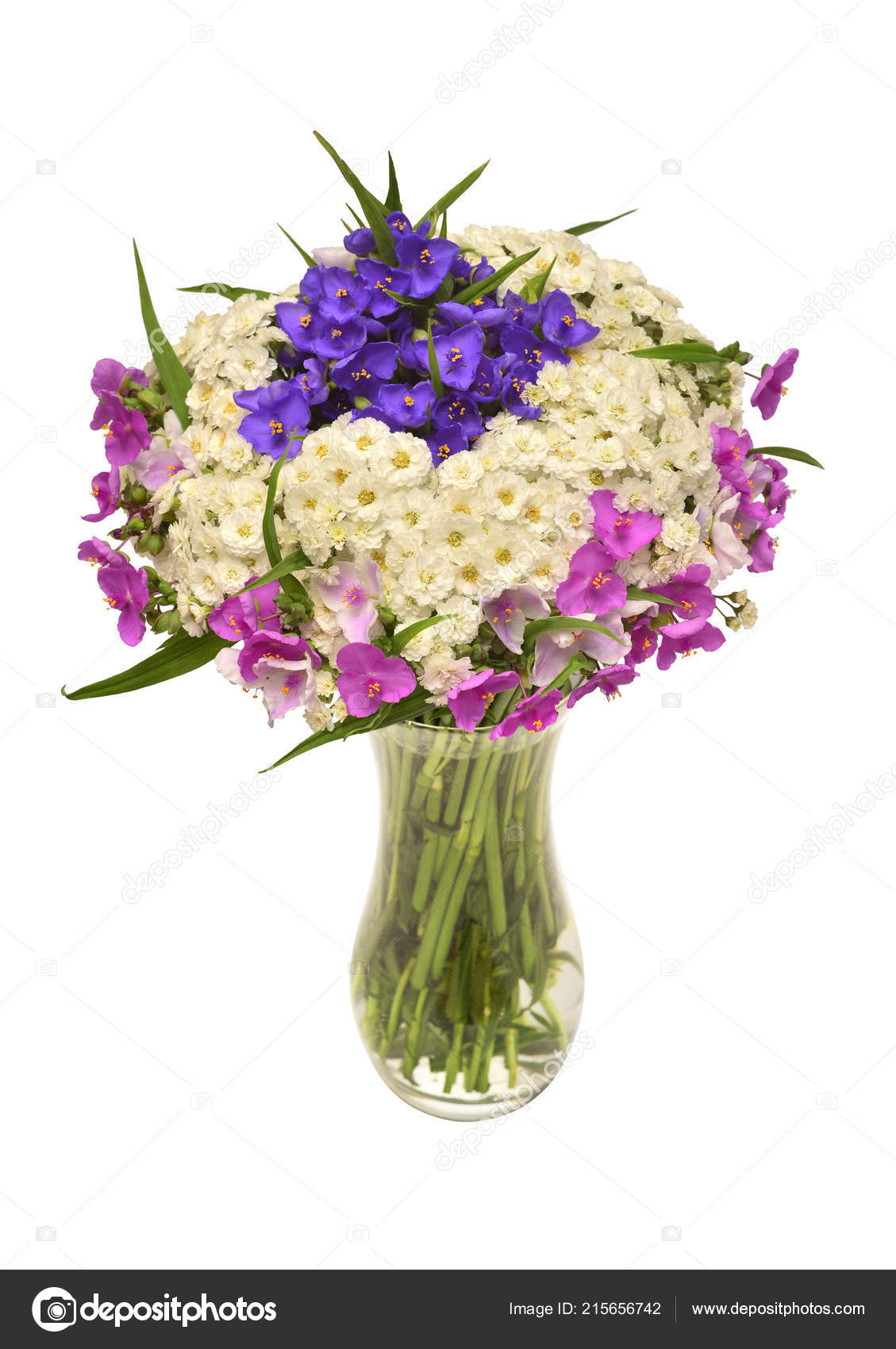 Flower Arrangement Bouquet Yarrow Tradescantia Vase Isolated White Background Floral Stock Photo C Flowerstudio 215656742