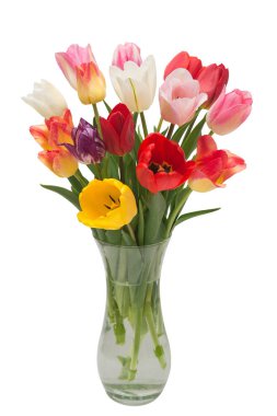 Çiçek desenli laleler beyaz arka planda izole edilmiş vazoda. Botanik, konsept, bitki örtüsü, fikir. Macro, doğa.