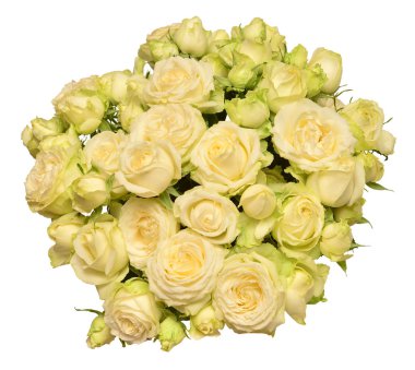 Narin gül buket izole beyaz arka plan üzerinde. Düğün kartı. Tebrik. Yaz. Bahar. Düz yatıyordu, en iyi görünüm. Seviyorum. Sevgililer günü