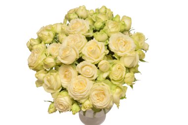 Beyaz arka plan üzerinde izole bir vazoda beyaz gül buketi. Düz yatıyordu, en iyi görünüm. Seviyorum. Sevgililer günü