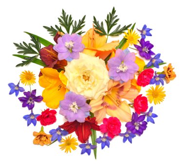 Çiçek desenli çiçek daylily, delphinium, gül ve beyaz izole papatya. Düz yatıyordu, en iyi görünüm. Valentine'nın arka plan. Yaratıcı kompozisyon. Nesne, makro