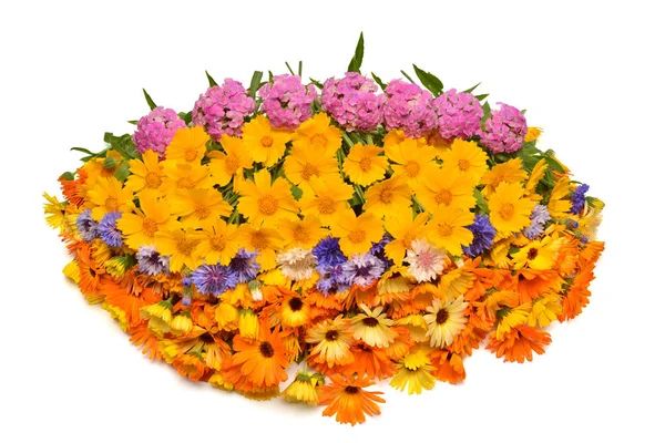 Bouquet Beautiful Oval Form Flowers Calendula Koreopsis Carnation Cornflowers Yellow — Stock Photo, Image