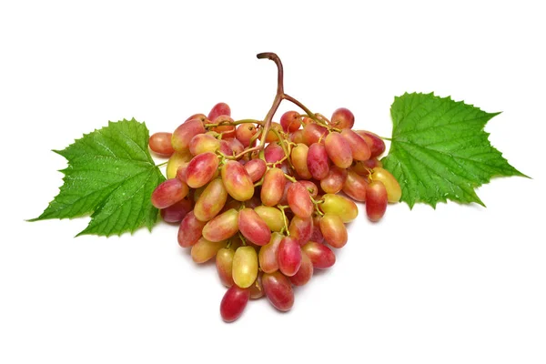 Beyaz Arka Plan Üzerinde Izole Taze Kırmızı Üzüm Şube Meyve — Stok fotoğraf