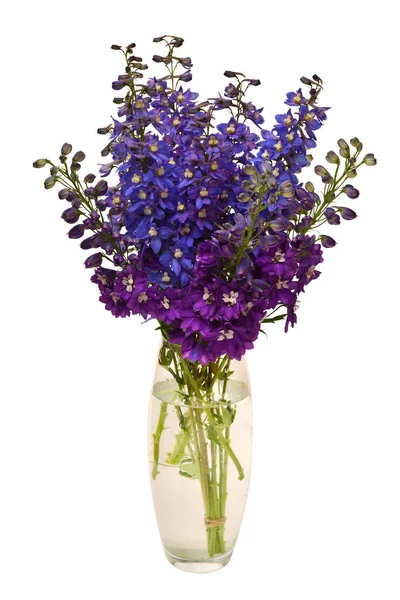 Strauß Schöne Blaue Und Dunkelviolette Delphinium Blume Einer Vase Auf — Stockfoto