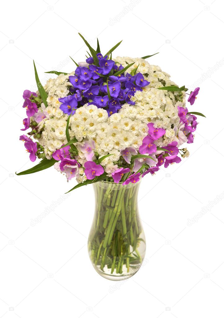 Flower arrangement in bouquet of yarrow and tradescantia in a vase isolated on white background. Floral pattern, still-life, object. Flat lay, top view