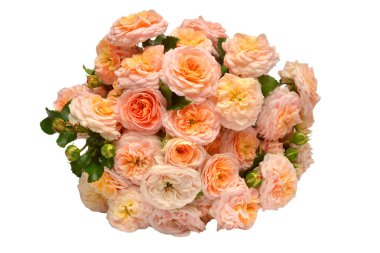 Beyaz arka plan üzerinde izole turuncu gül buketi. Narin çiçekler. Düz yatıyordu, en iyi görünüm. Çiçek desenli, nesne. Doğa kavramı. Düğün, Gelin, aşk