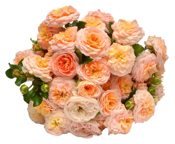 Rosen Bouquet Von Orange Isoliert Auf Weißem Hintergrund Zarte Blüten — Stockfoto