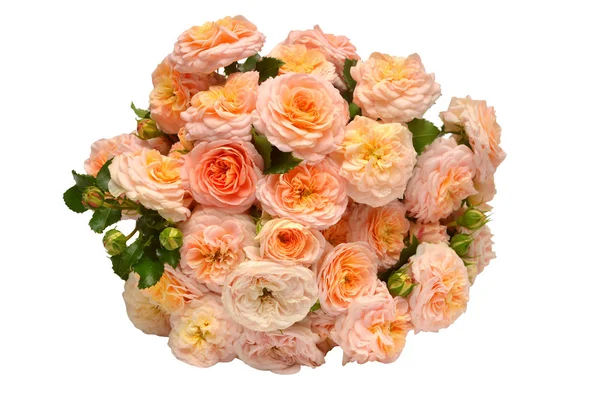 Beyaz arka plan üzerinde izole turuncu gül buketi. Narin çiçekler. Düz yatıyordu, en iyi görünüm. Çiçek desenli, nesne. Doğa kavramı. Düğün, Gelin, aşk