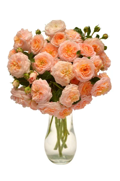 Turuncu beyaz arka plan üzerinde izole vazoda gül buketi. Narin çiçekler. Düz yatıyordu, en iyi görünüm. Çiçek desenli, nesne. Doğa kavramı. Düğün, Gelin, aşk