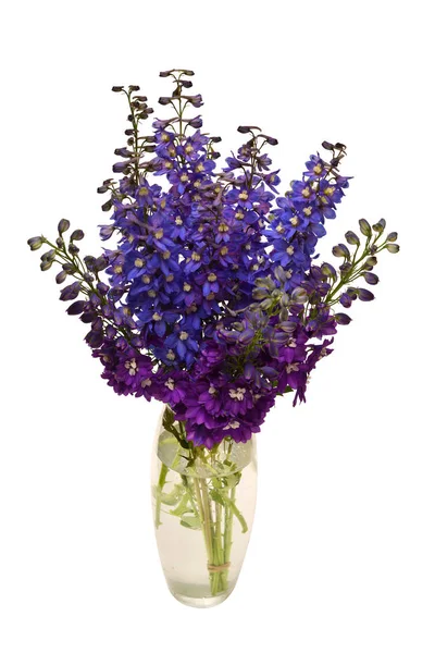 Ανθοδέσμη Όμορφη Μπλε Και Σκούρου Μωβ Delphinium Λουλούδι Ένα Βάζο — Φωτογραφία Αρχείου