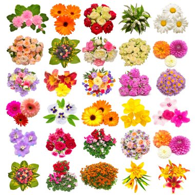Collection of flowers marigold, pansies, roses, daisies, lilies, dahlias, daffodils and other isolated on white background. Set, collage, love. Floral pattern, object. Flat lay, top view clipart