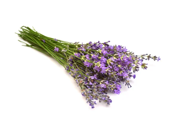 Lavendelblüten Isoliert Auf Weißem Hintergrund Heilkräuter Blumenstrauß Muster Objekt Flache — Stockfoto