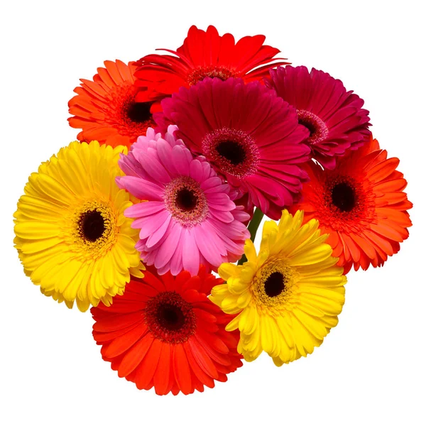 Boeket Van Mooie Fijne Bloemen Gerbera Geïsoleerd Een Witte Achtergrond — Stockfoto