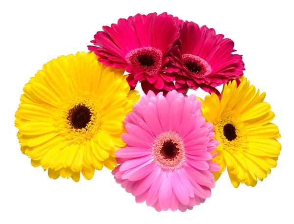 Boeket Van Mooie Fijne Bloemen Gerbera Geïsoleerd Een Witte Achtergrond — Stockfoto