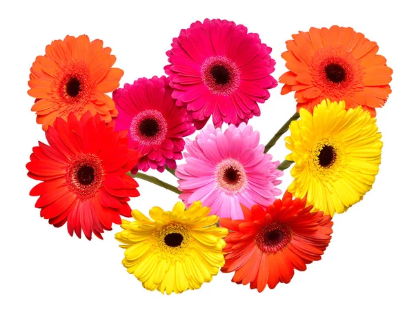 Boeket Van Mooie Fijne Bloemen Gerbera Geïsoleerd Een Witte Achtergrond — Stockfoto