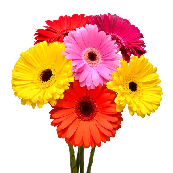 Boeket Van Mooie Fijne Bloemen Gerbera Geïsoleerd Een Witte Achtergrond — Stockfoto