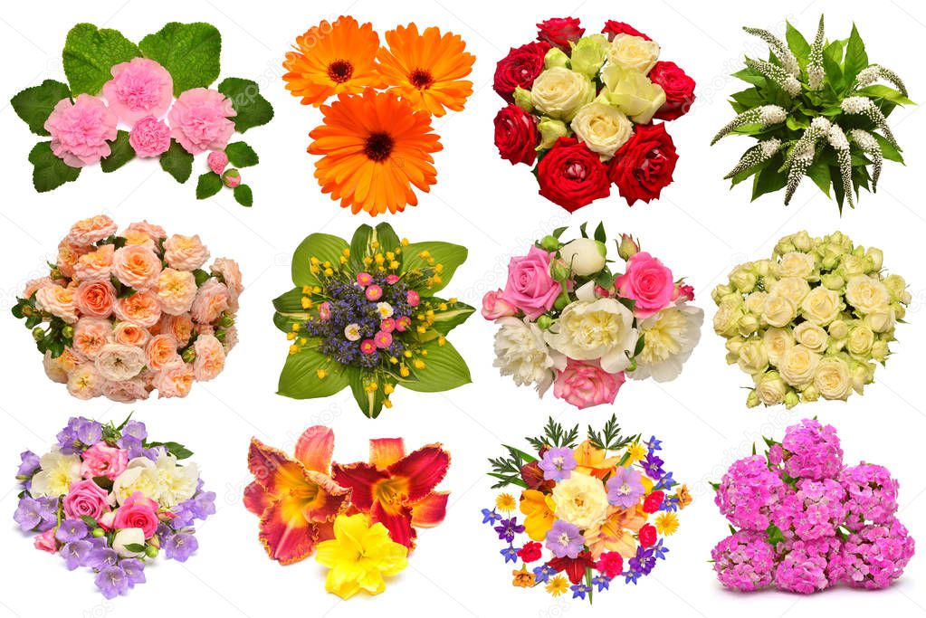 Collection of flowers calendula, mallow, roses, daisies, lilies, peonies, delphinium and other isolated on white background. Set, collage, love. Floral pattern, object. Flat lay, top view