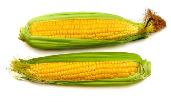 Collection corn isolated on white background. Top view, flat lay — Stock Photo, Image