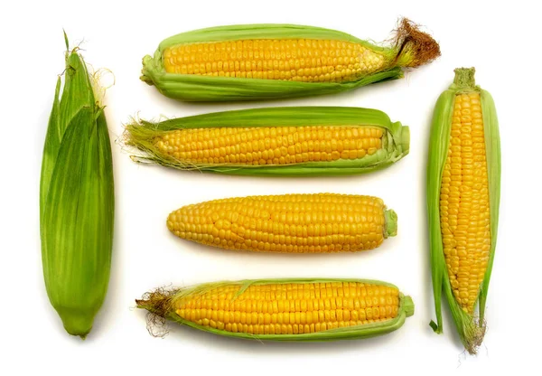 Коллекция кукурузы с кожей или без кожи изолированы на белой спине — стоковое фото