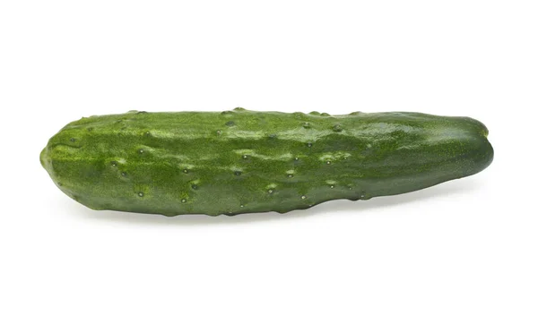 Komkommer geïsoleerd op witte achtergrond. Bovenaanzicht, vlakke lay — Stockfoto