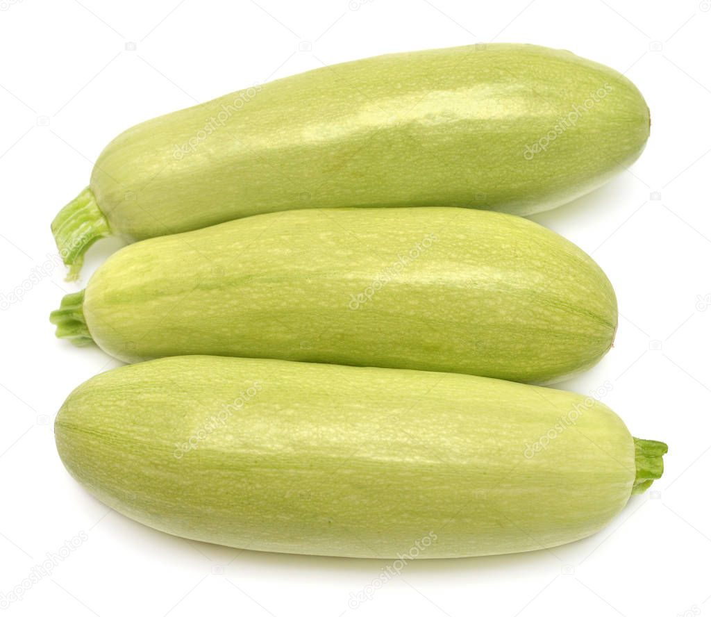 Fresh squash vegetable marrow zucchini whole isolated on white b