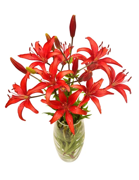 Red lilies bouquet in a vase isolated on white background. Beautiful still life. Flowers in the shape of a star. Spring time. Flat lay, top view