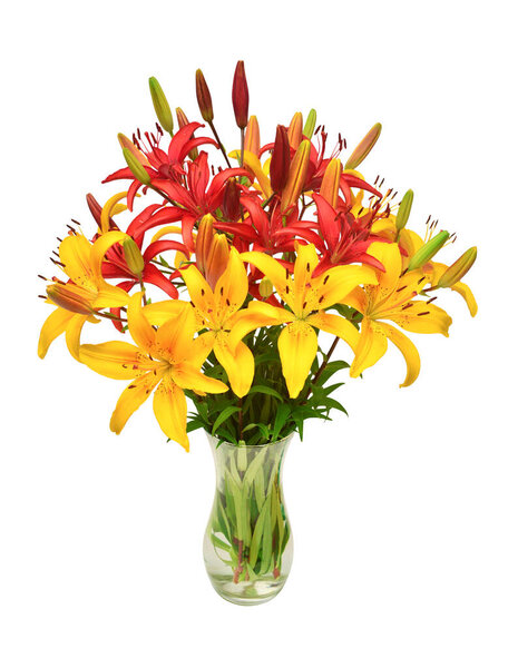 Red and yellow lilies bouquet in a vase isolated on white background. Beautiful still life. Flowers in the shape of a star. Spring time. Flat lay, top view