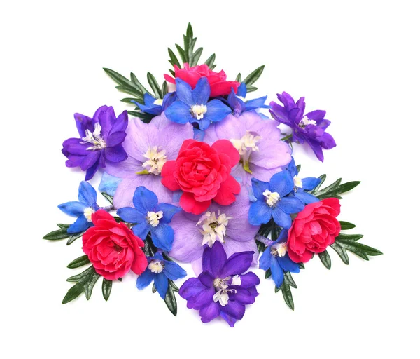 Colecție Flori Delfiniu Trandafir Izolat Fundal Alb Aranjament Floral Elegant — Fotografie, imagine de stoc