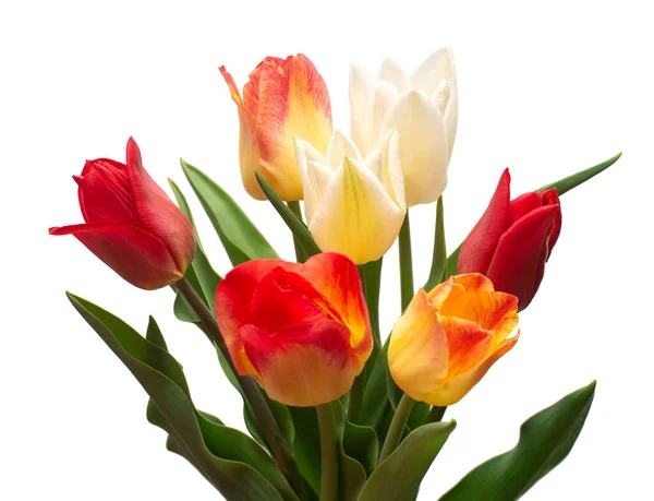 Bouquet Von Bunten Und Schönen Tulpen Blumen Isoliert Auf Weißem — Stockfoto
