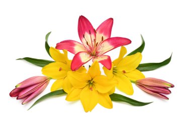 Güzel renkli zambaklar buketi 