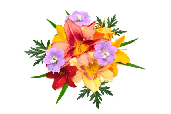 Sammlung Von Blumen Delphinium Und Hemerocallis Isoliert Auf Weißem Hintergrund — Stockfoto