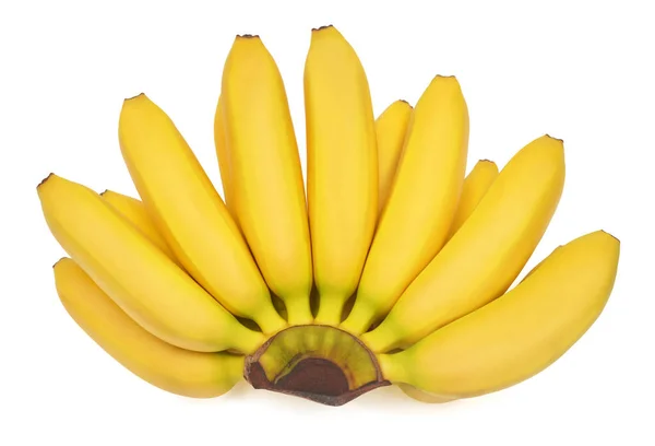 Banana Baby Grappolo Isolato Sfondo Bianco Perfettamente Ritoccato Piena Profondità — Foto Stock