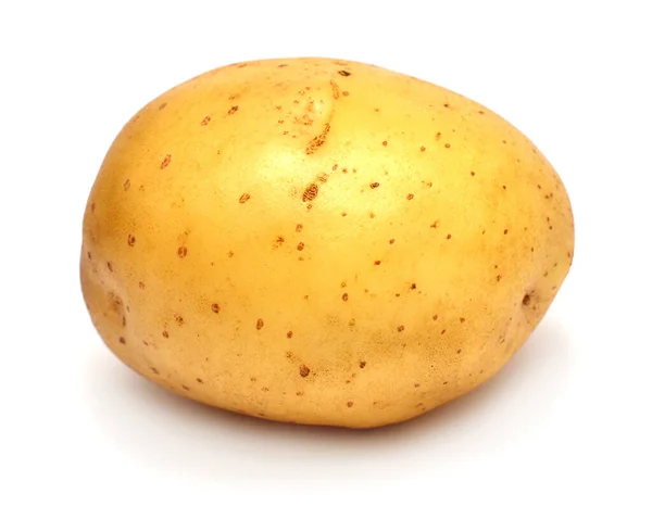 Junge Kartoffel Isoliert Auf Weißem Hintergrund Ernte Neu Flache Lage — Stockfoto