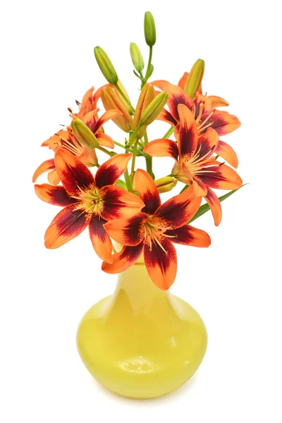 Bouquet of lily tiger color in a vase isolated on white background