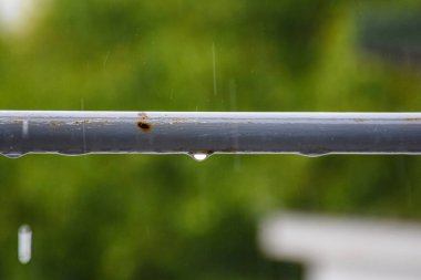 Mavi-gri bir tırabzanda dinlenen yağmur damlaları hafif pas ile, uzaktaki bulanık orman tonlarıyla yumuşatılmış..