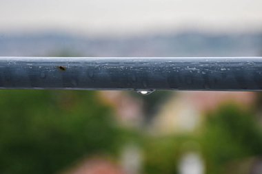 Yağmurdan sonra yeşil ağaçların bulanık arka planına kurulmuş, yağmur damlaları ve paslı metal tırabzanlara yakın çekim.