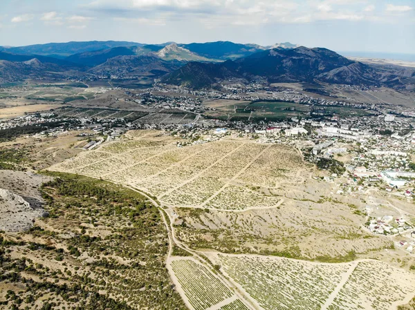 Πανόραμα της πόλης της Sudak στην ακτή της Μαύρης Θάλασσας. Χωράφι σταφυλιών — Φωτογραφία Αρχείου