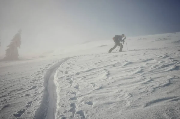 뜰에서 스키를 눈덮인 산비탈에서 안개를 헤치며 나아간다 — 스톡 사진