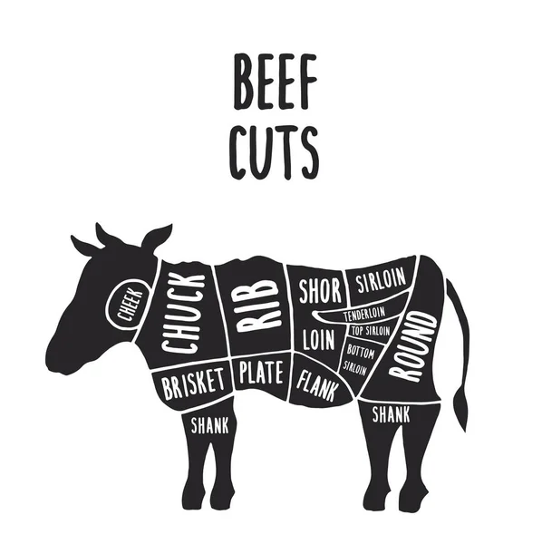 Vector Cuts Beef Hand Drawn Butcher Cuts Scheme — Stock Vector