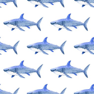Köpekbalığı suluboya el dikişsiz desen boyalı. Deniz arka planı.