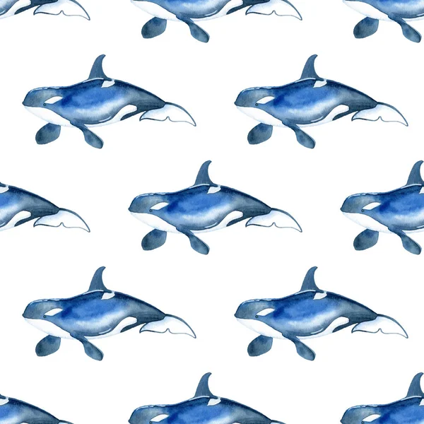 Killerwal-Aquarell von Hand bemalt nahtlose Muster. Meereshintergrund. — Stockfoto