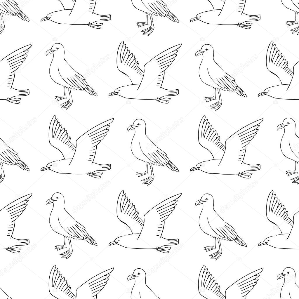 flying seagull and standing seagull hand draw sketch vector seamless pattern.