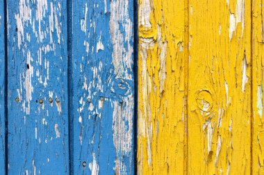 Eski ahır duvarında mavi ve sarı kabuk soyma boyası.