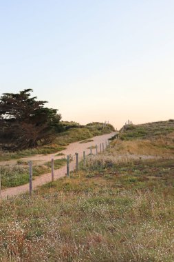 Olron Adası 'ndaki sahile giden yol, Fransız batı kıyısı..