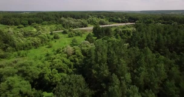 夏の日の森の空中写真 — ストック動画